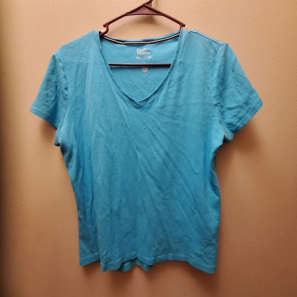 🍉 Cute summer blue top wimens size L Tge classic tee Croft &Barrow
